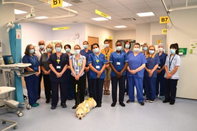 Hospital Staff Wearing Masks